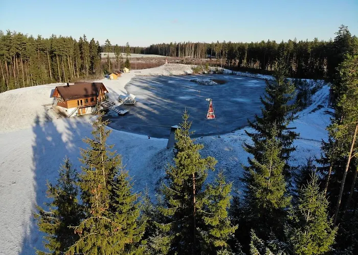 Metsjaerve Puhkemaja בית נופש